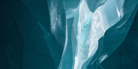 Exposition Regards de glace